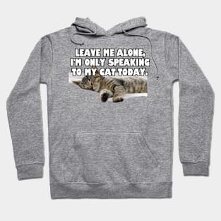 Leave Me Alone. I'm Only Speaking To My Cat Today. Hoodie
